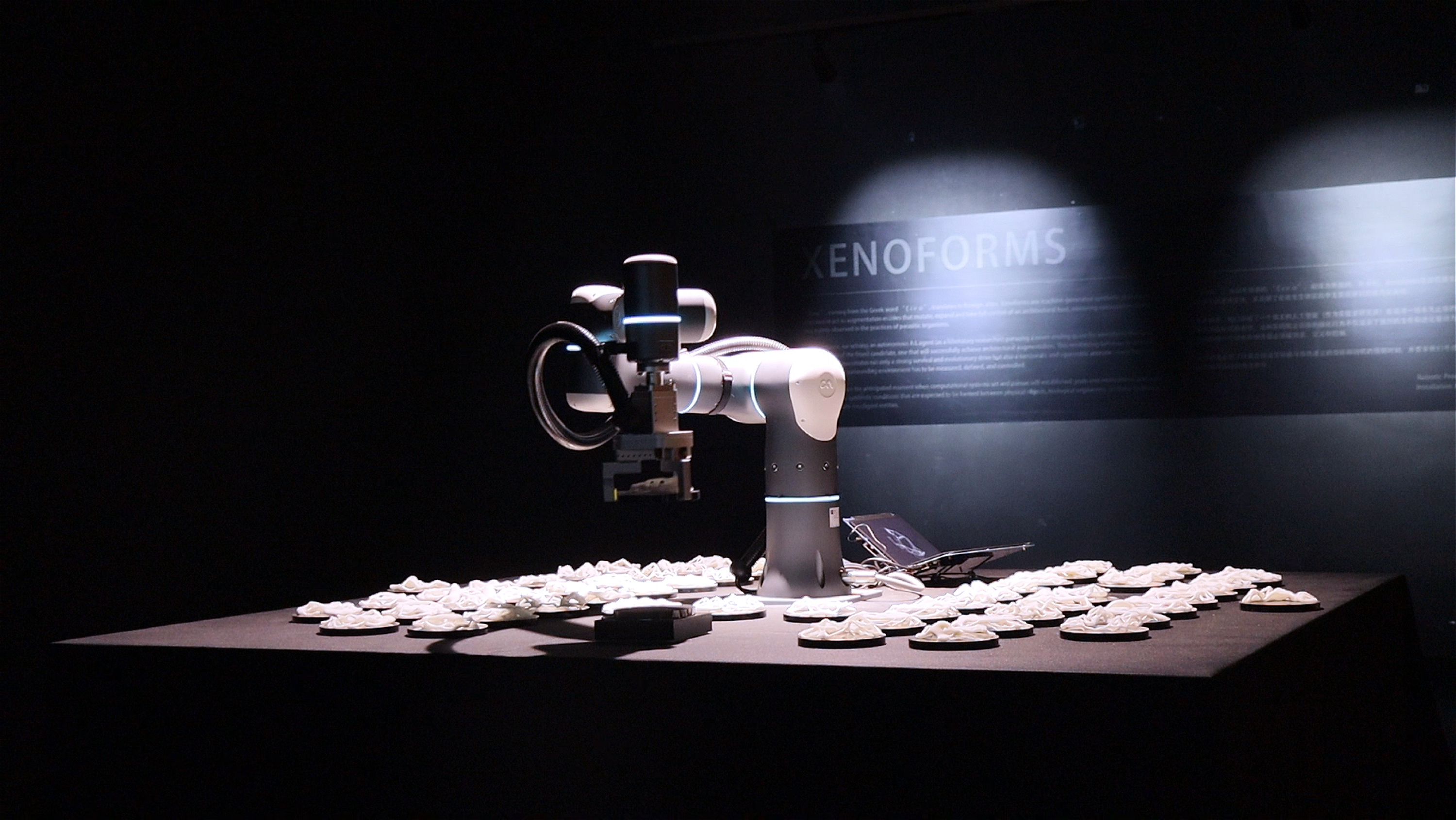 Flexiv's Rizon Robot Used in Avant-Garde Art Installation